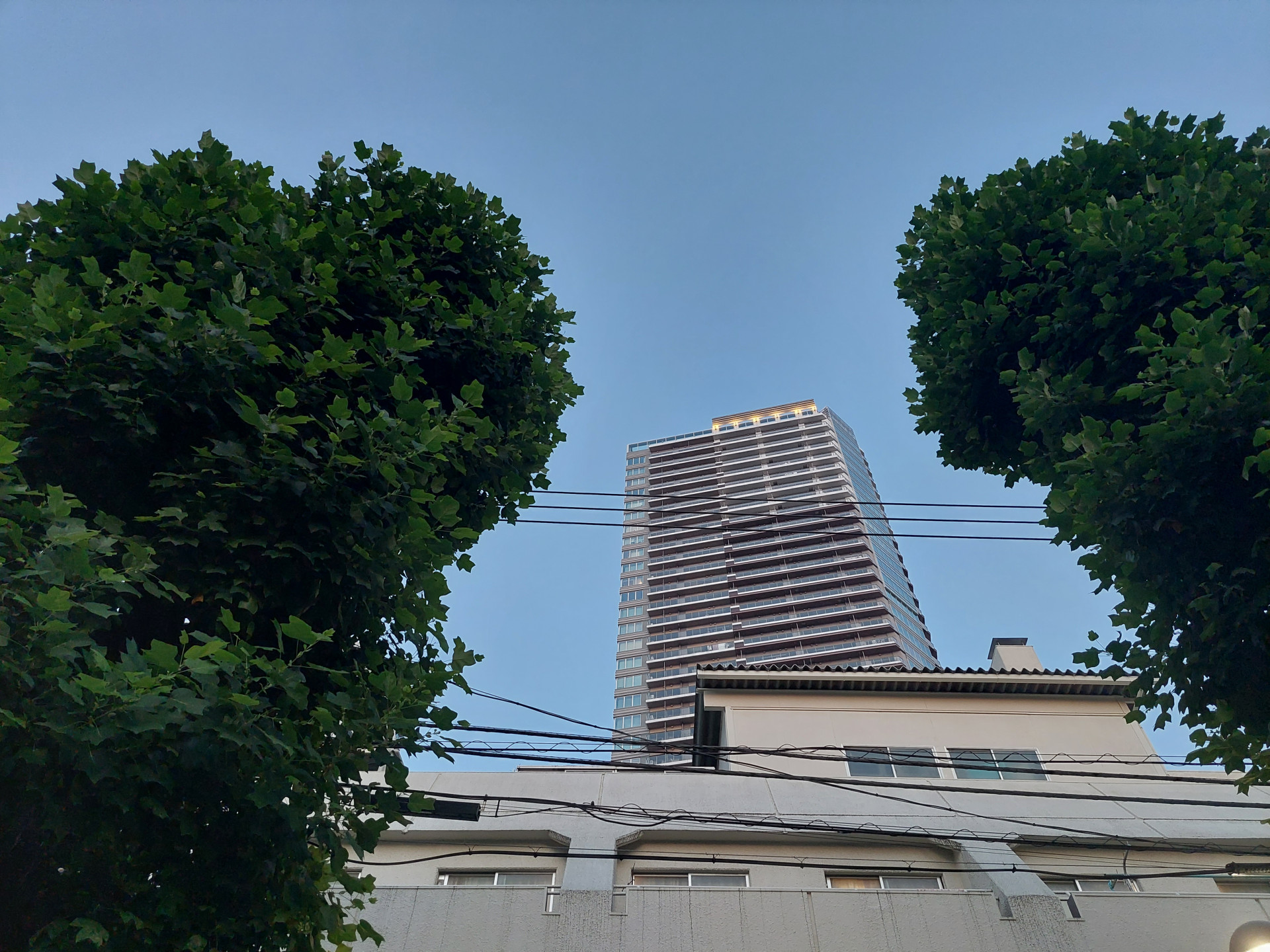 20240703_190909 1